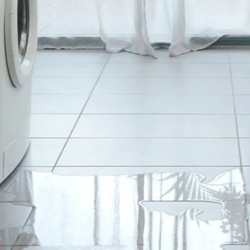 Appliance Leak Cleanup in Sherman County, TX
