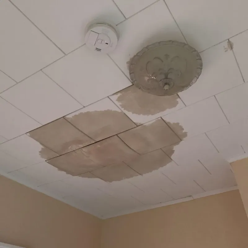 Ceiling Water Damage Repair in Sherman County, TX