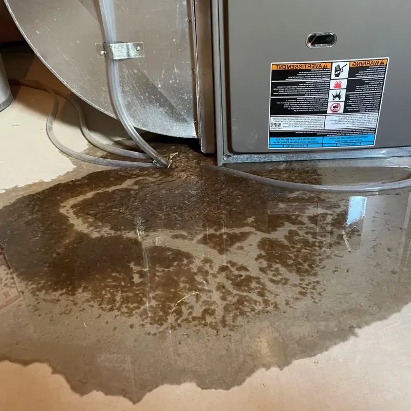 Pipe Burst and Leak Restoration in Sherman County, TX