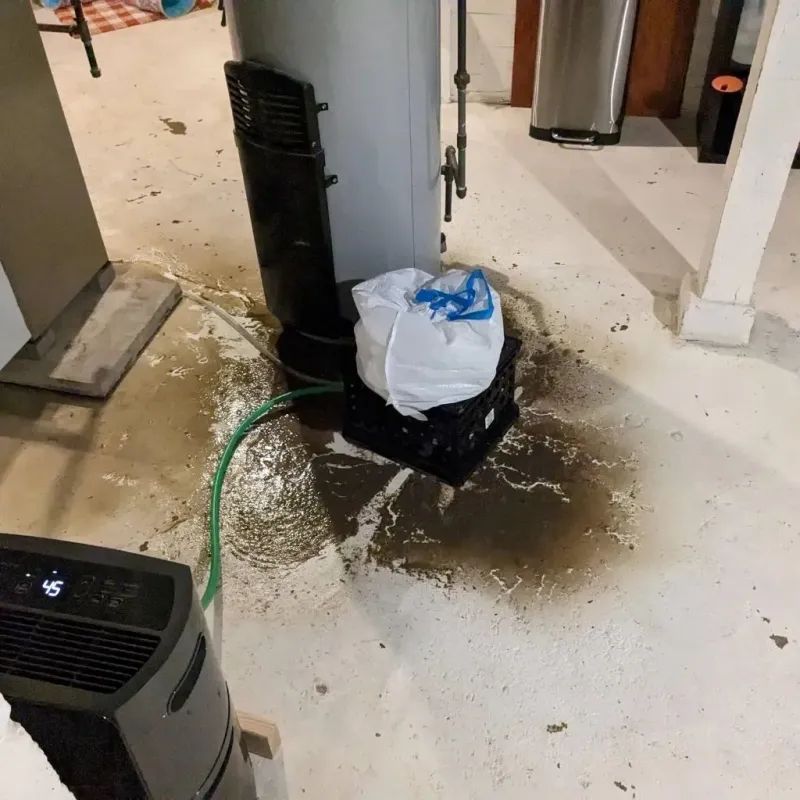 Sewage Backup Cleanup Service in Sherman County, TX